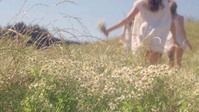 深度测评|让你更优雅入门法语——鹿老师说外语