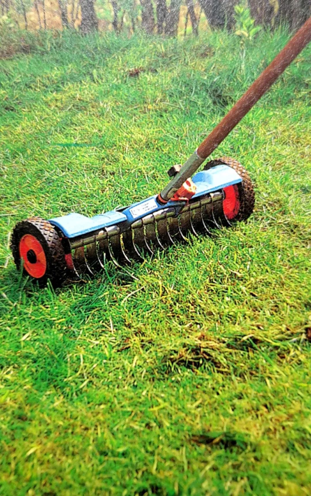 精心打理草坪,草坪该如何养护管理