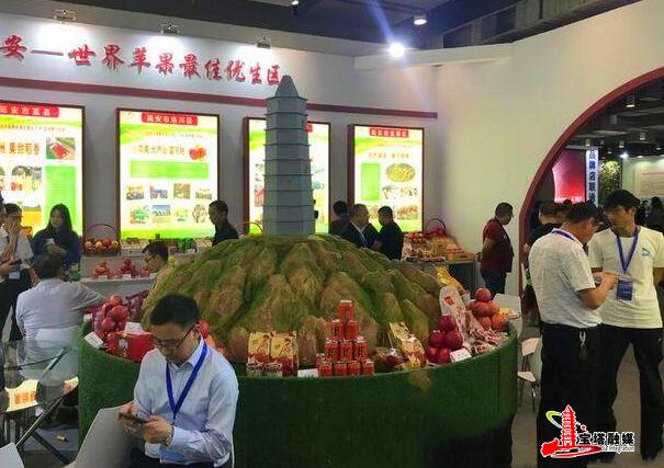 鍔涢噺2022,鍔涢噺2020