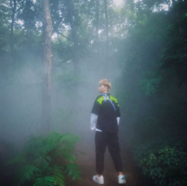 拍照绿色小清新教程,教你拍照如何拍出高级感