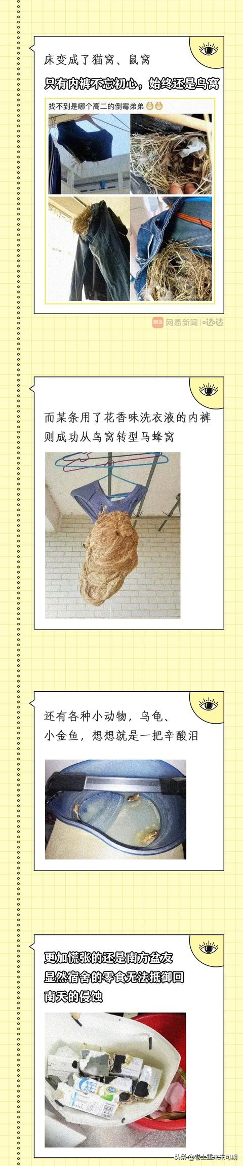 那些上学时最好看的漫画,开学前看的vs开学后看的漫画