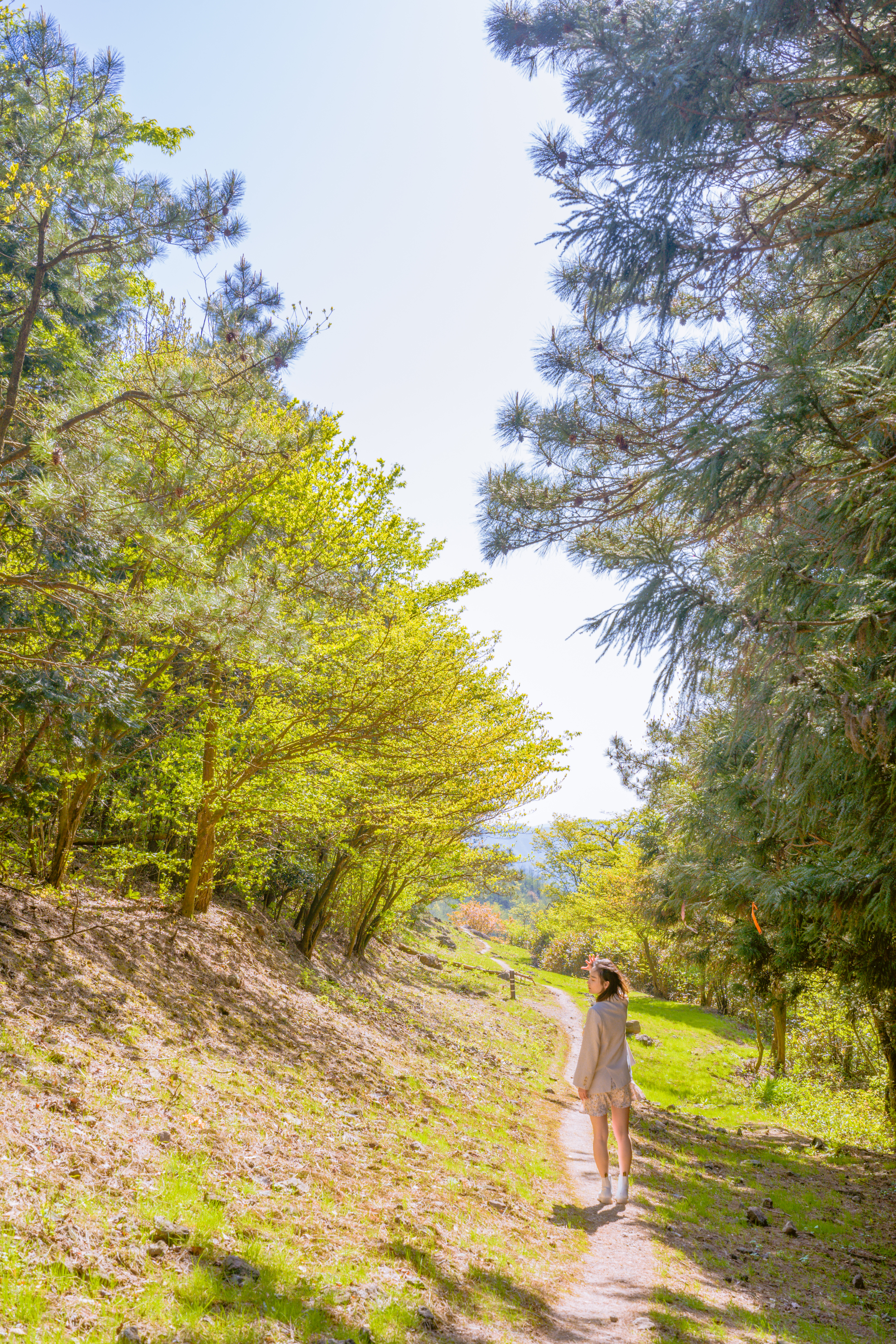 商量岗内的这家酒店，四季气候适宜居住，住客宛若身处桃花源