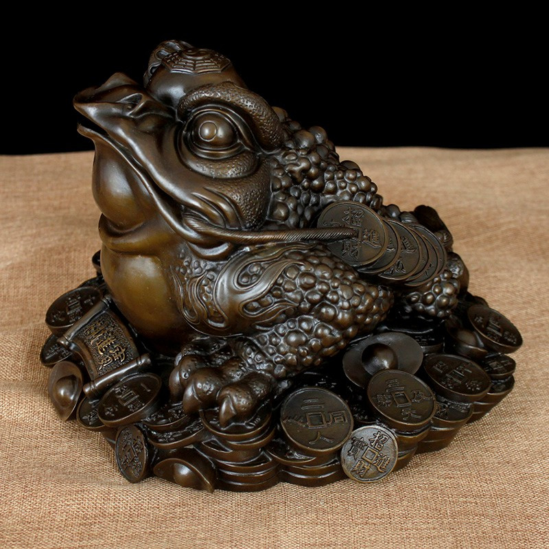 金蟾和金蟾区别,金蟾和蟾蜍是一种动物吗