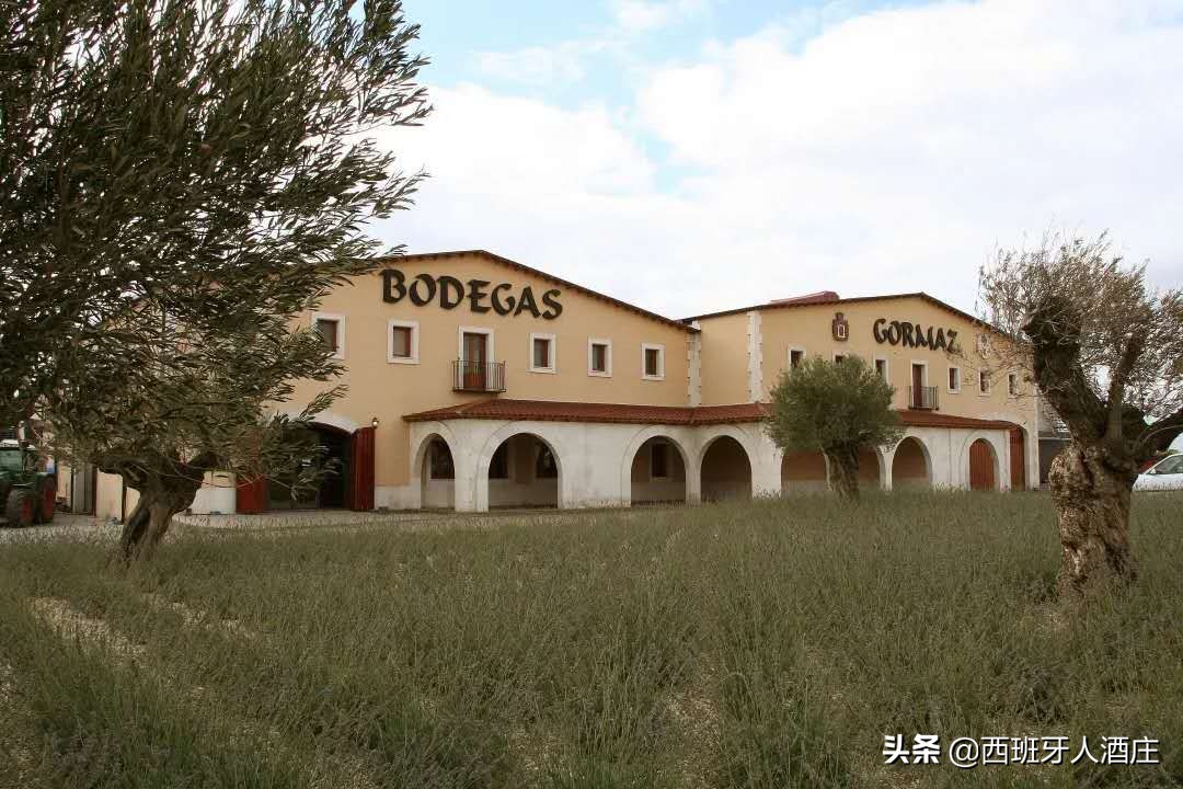 走进葡萄酒专卖店,走进葡萄酒庄园视频