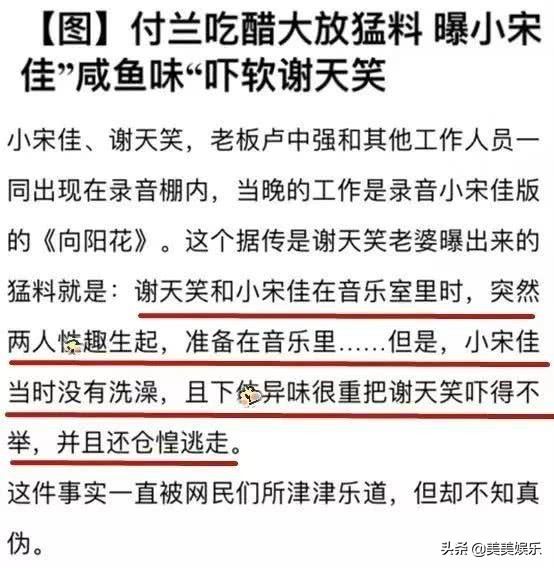 宋佳插足张黎婚姻专访,宋佳恋情曝光事件