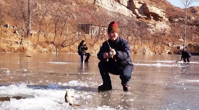 旅游宁夏至河南,旅游宁夏银川
