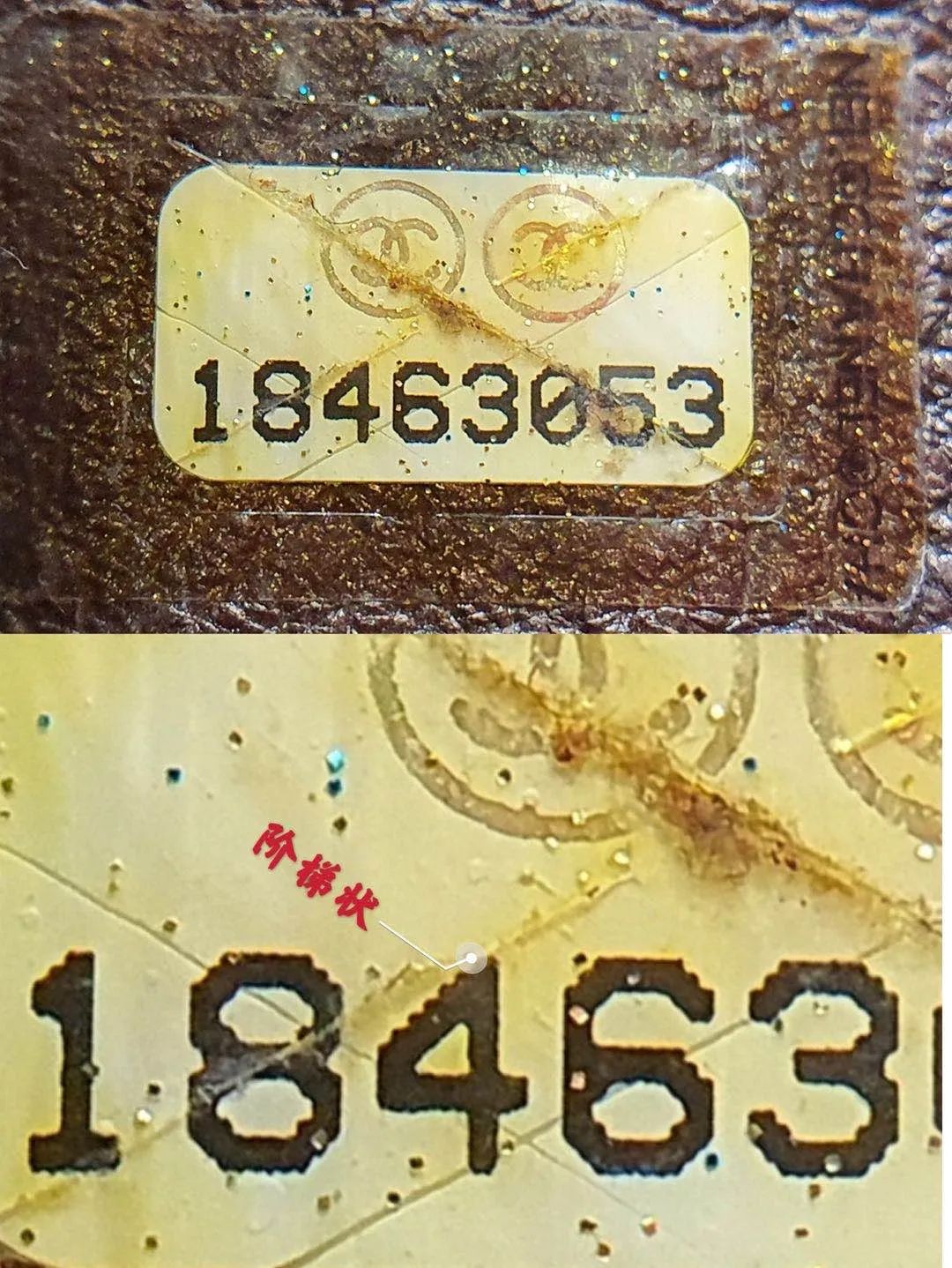 奢侈品鉴定需要从哪里开始学习,奢侈品鉴定学习报名