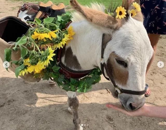 流年不利运气超差,流年不利昙花一现