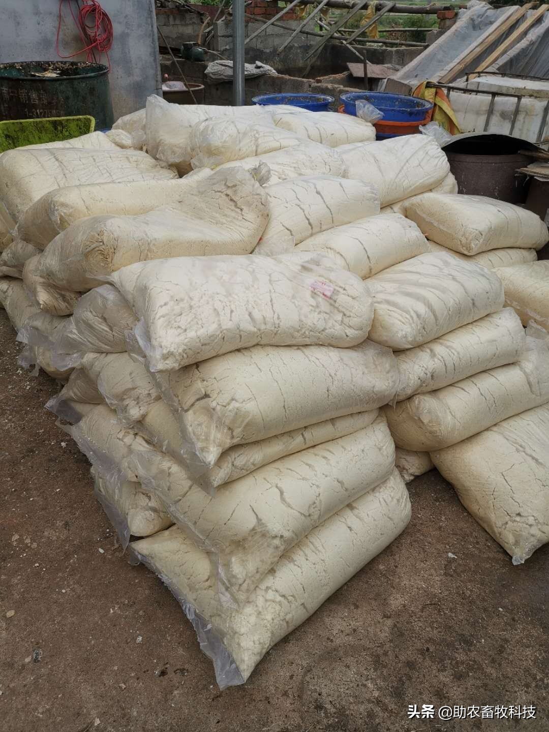 农村自制低成本养猪饲料配方,自制猪发酵饲料的最佳配方