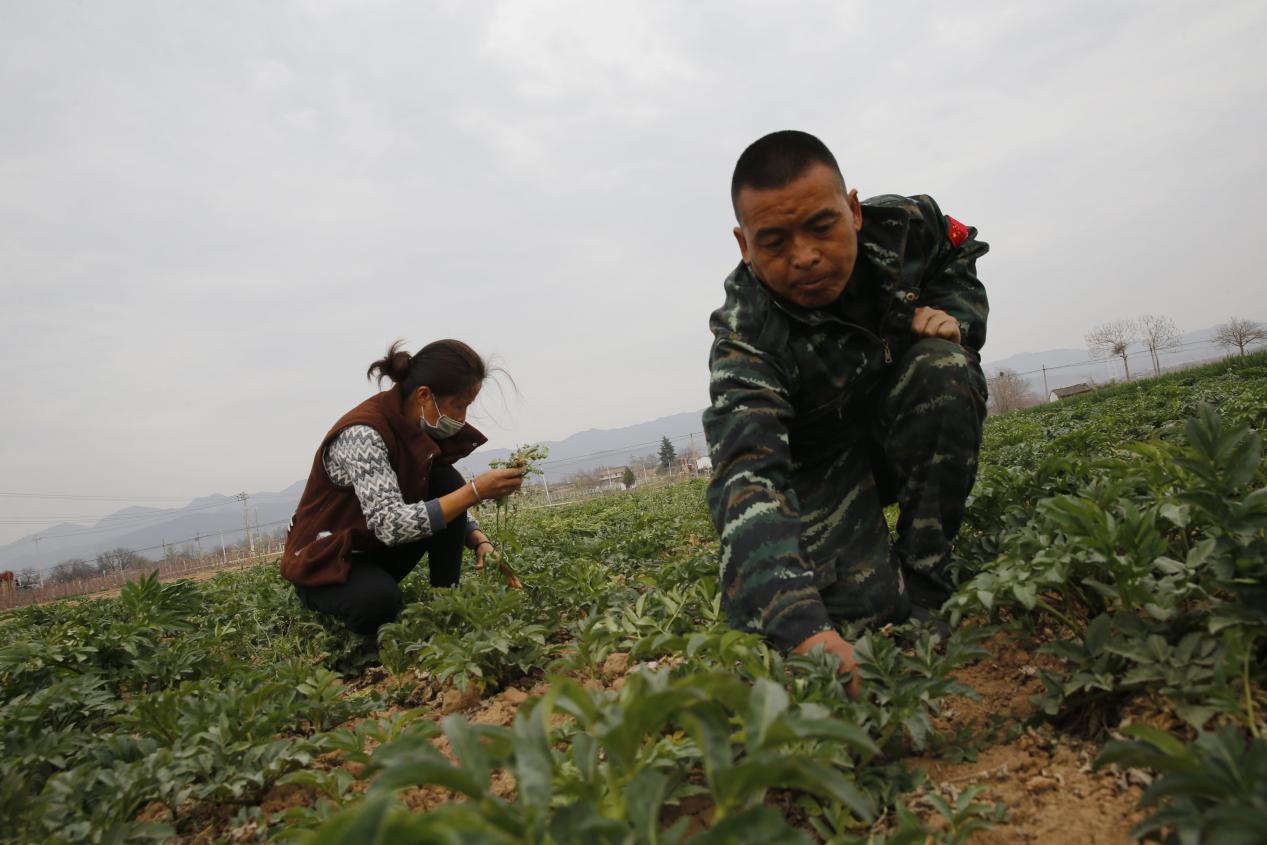 军魂颂吕永怀,军魂永在心退役老兵回乡创业
