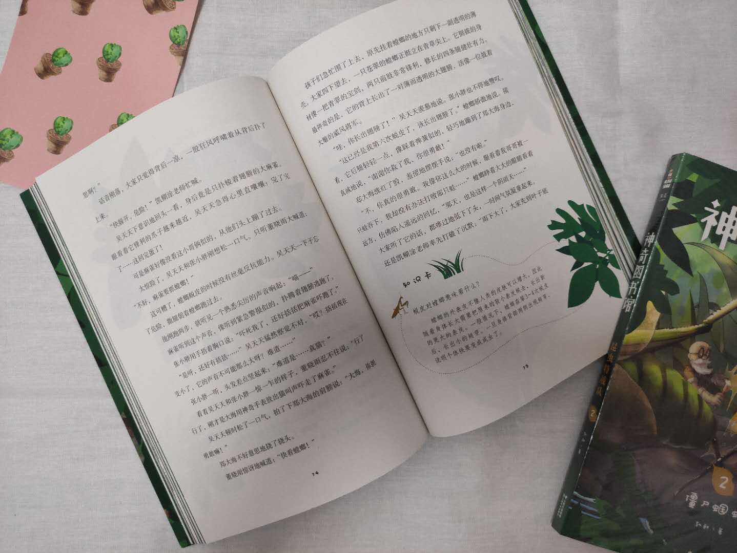 女童大改造,儿童学习空间改造