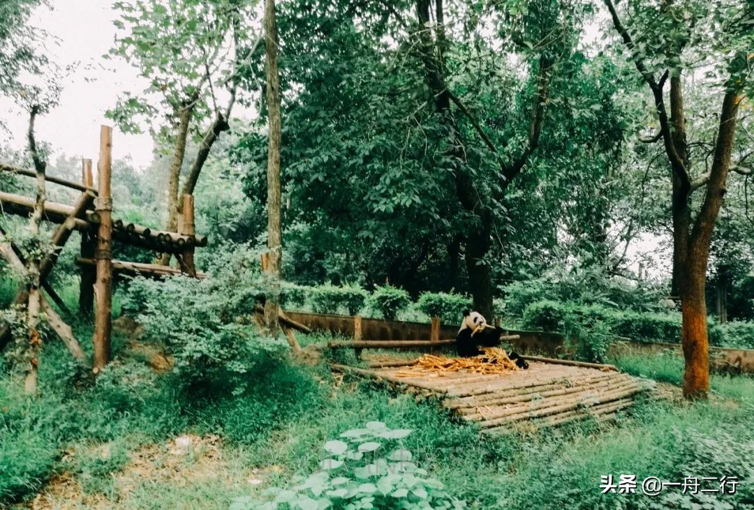 成都二三五科技有限公司,成都二三里