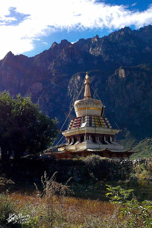 那曲唯一有桃花的地方,那曲有桃花吗