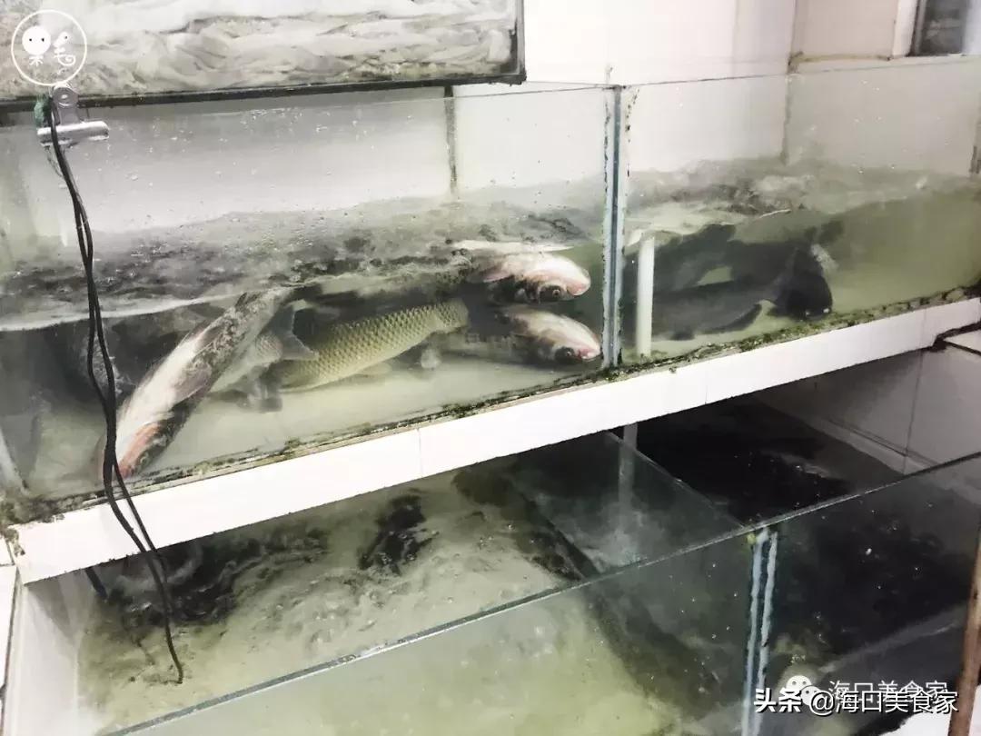 海口日月广场匠子烤鱼,海口友谊阳光城烤鱼店