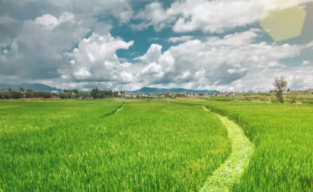 等一个人陪我去大理旅行,如果生活不如意不如一起去大理