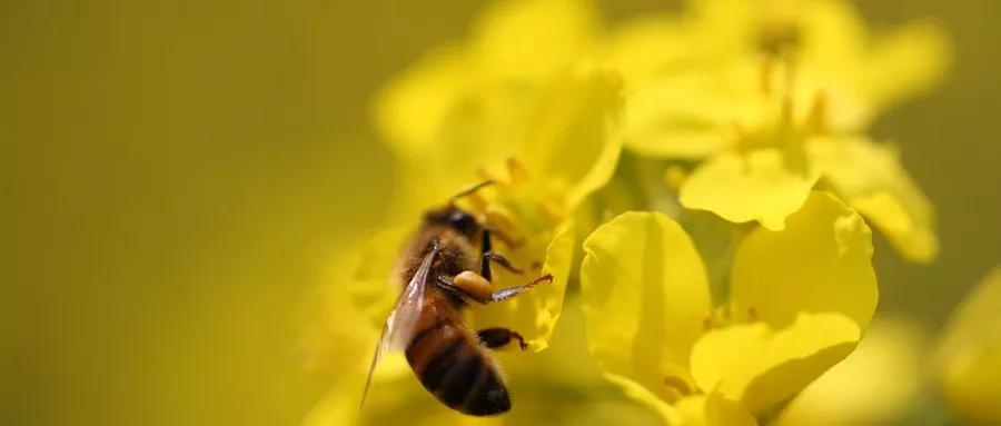 三不比三不言三不争,三不比三不争三不言段子