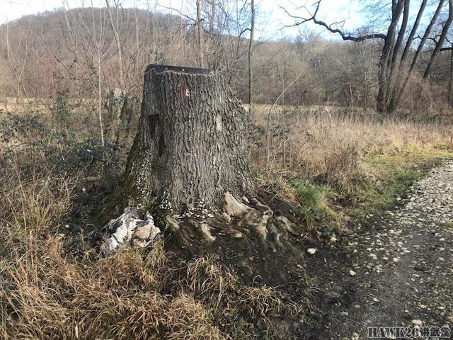 用照片说话：德国幻影公司“黄蜂II”Z4迷彩实际伪装效果如何？