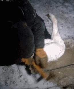 为啥加油站月薪两千还没人辞职,加油站上班工作强度大吗累吗