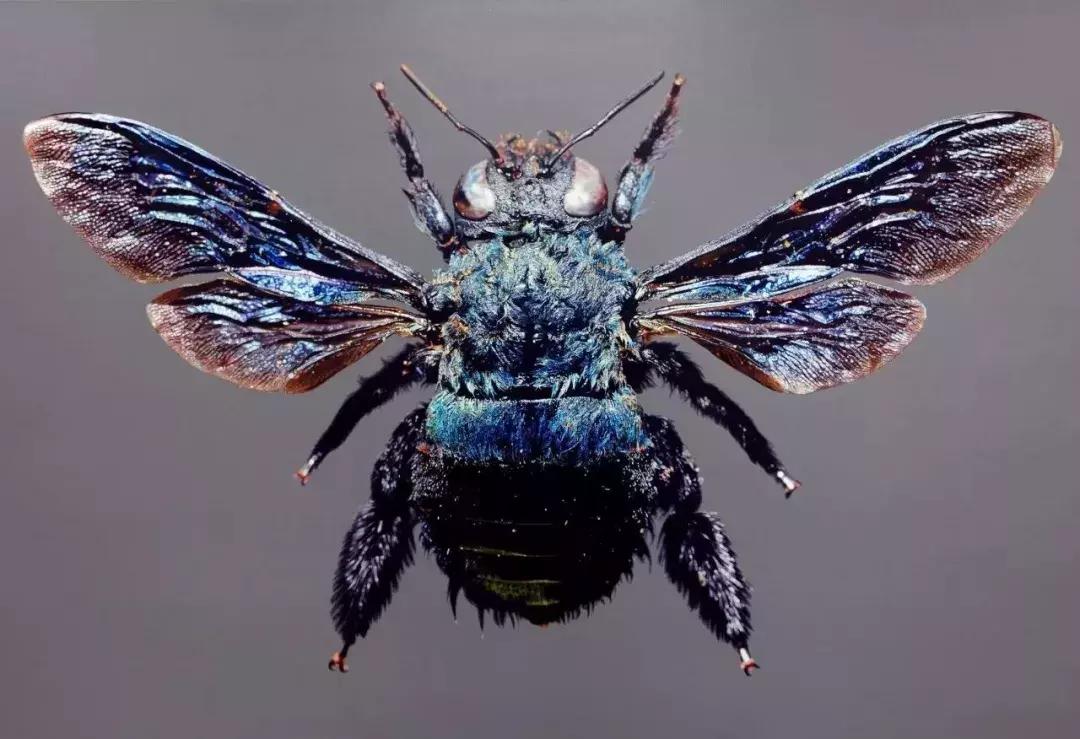 45岁韩国大叔,韩国45岁大叔