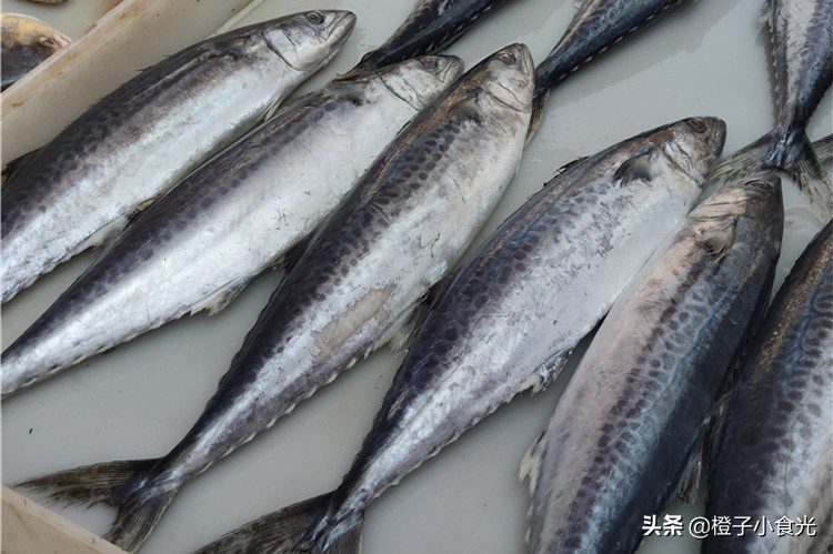 喜欢吃鱼，聪明人就买这5种，便宜营养，主要目前没有人工养殖