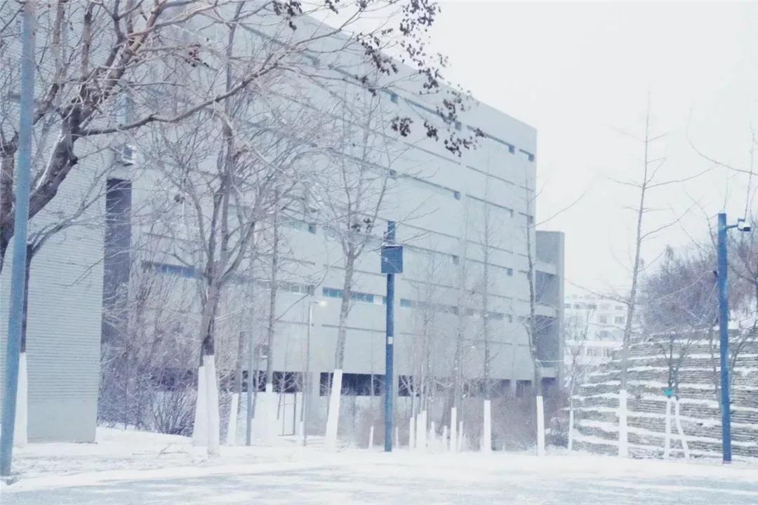 辽宁省高校（三十一）大连医科大学