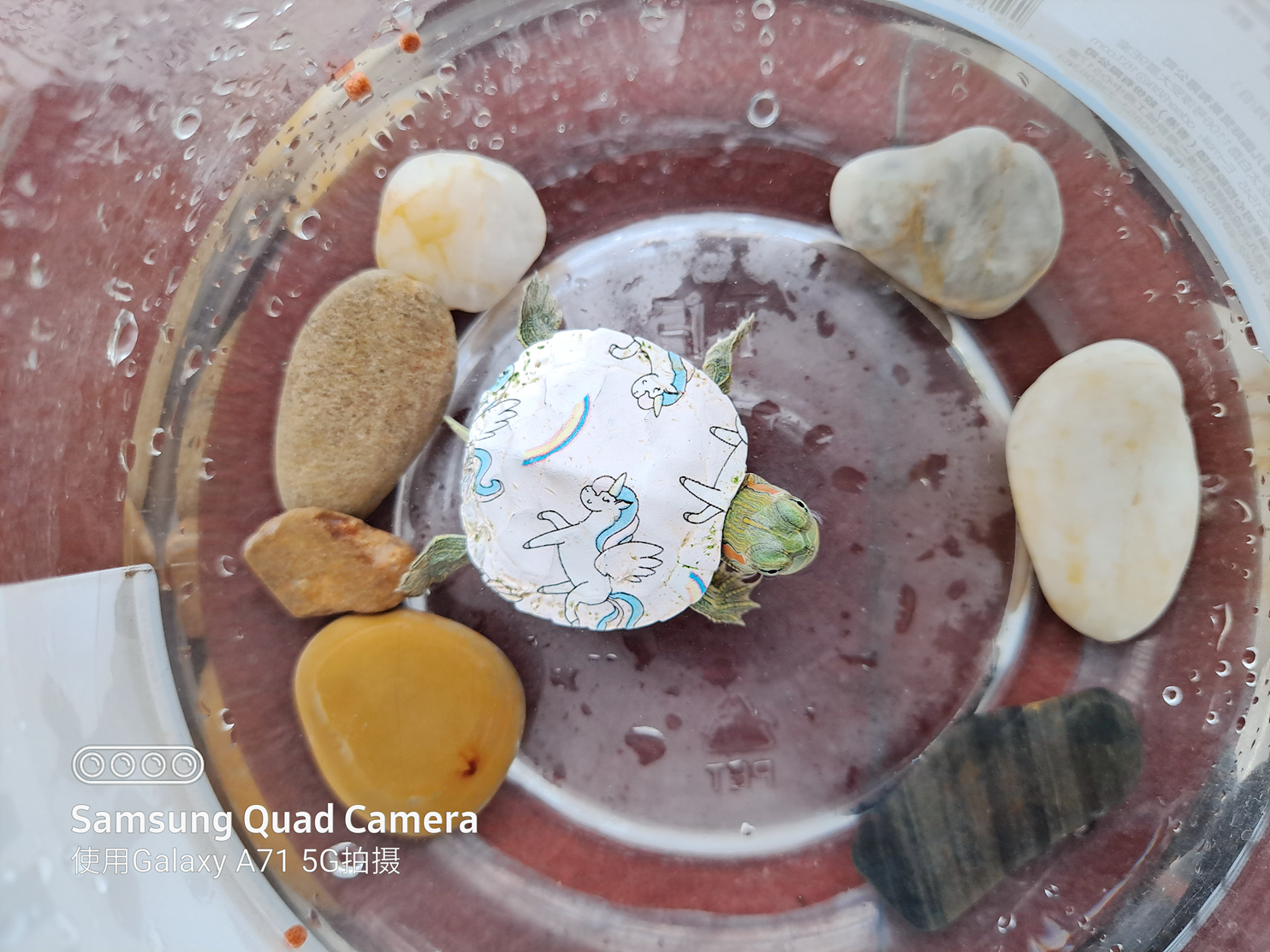 三星galaxya715g版测评,三星galaxya71可以入手吗