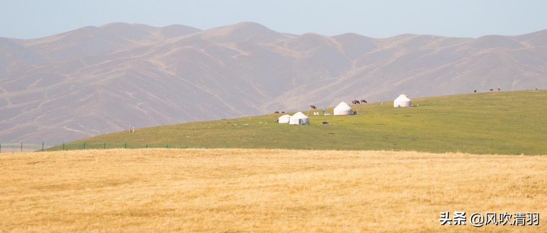 真实新疆人的生活视频,新疆人的生活好精致