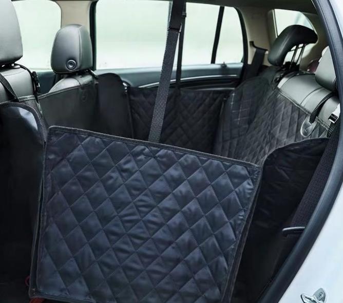 狗狗长途坐车要禁食多久,想带狗狗出远门怎么带