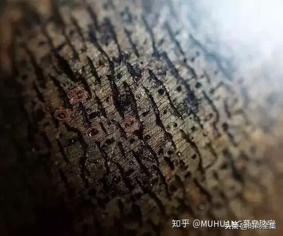 伍佰艺沉香最新消息,去哪里可以辨别沉香的真伪