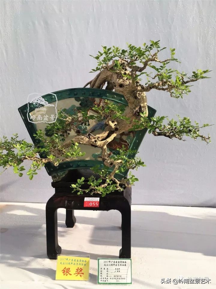 骞哥涔呬箙鐢滅敎铚滆湝,骞哥涔呬箙