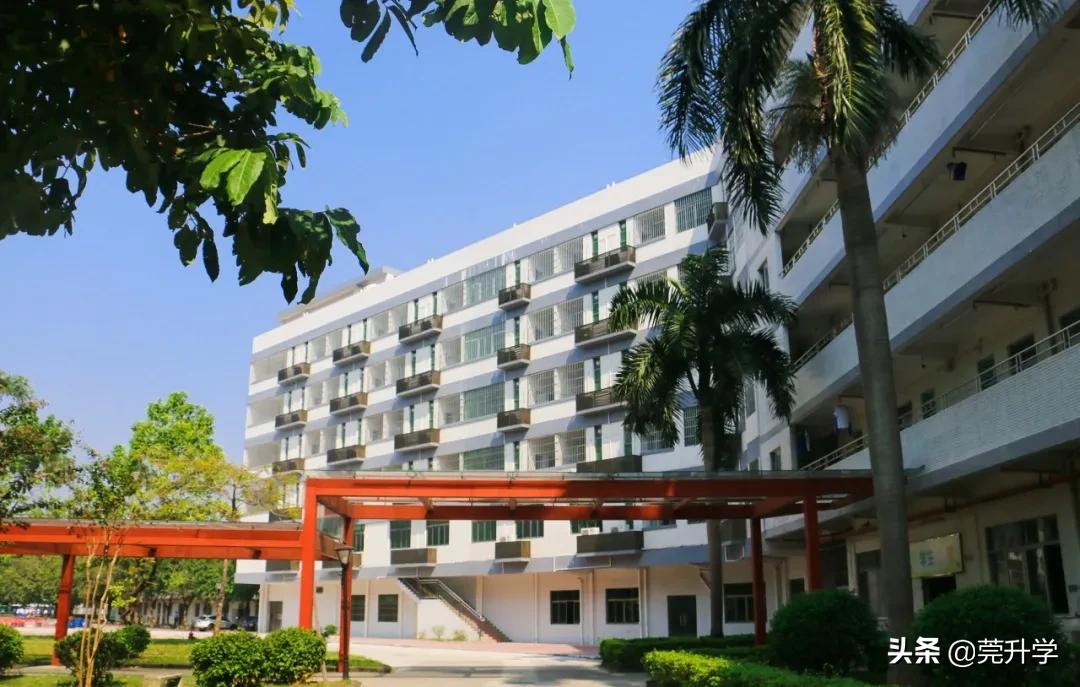 东华松山湖高级中学多少分录取,东华松山湖高级中学招生名额