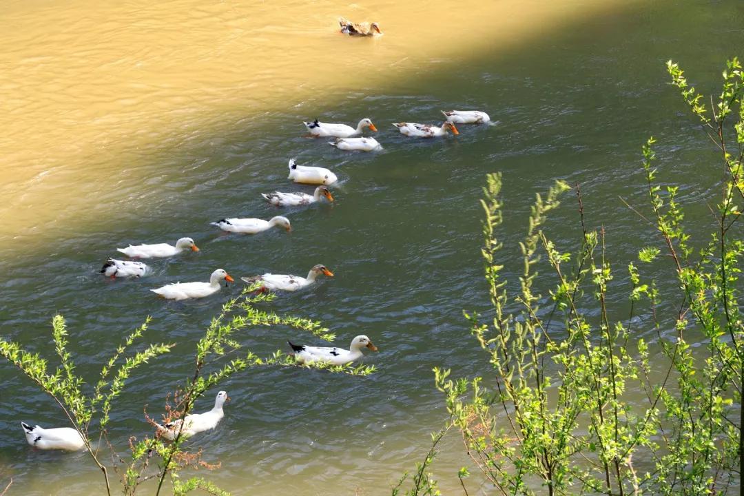 甘肃最缺水的地方,甘肃哪个地方水最好