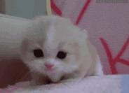 江南西法式甜品店,江南西附近的蛋糕甜品店