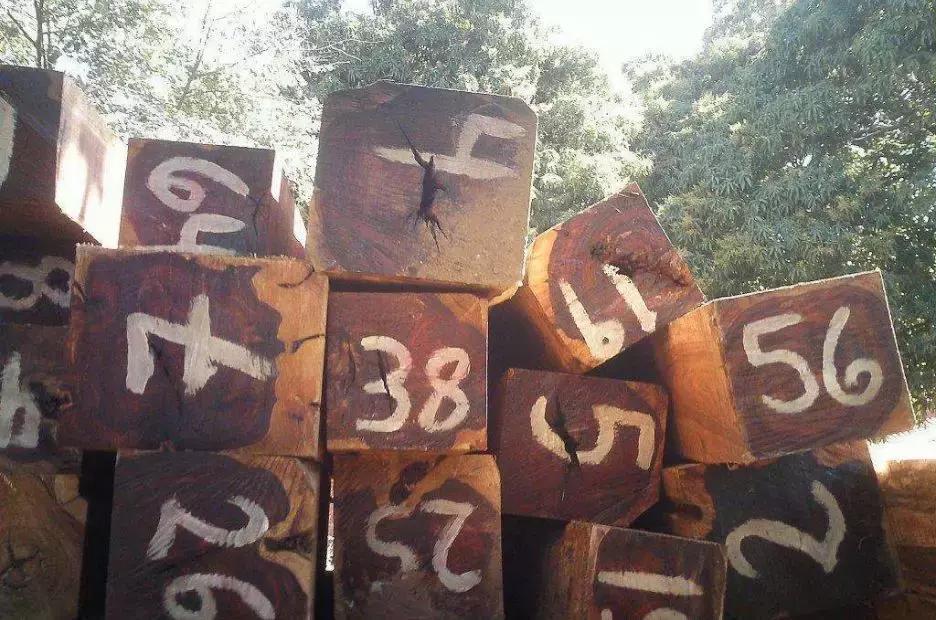 红木家具木材品种进口价格及图片,目前红木家具木材价格