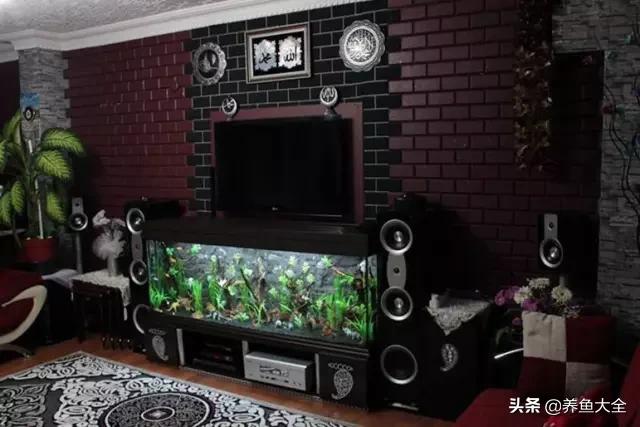 电视柜养鱼,电视柜旁边养鱼好不好