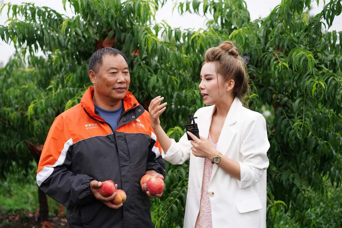 申通快递董事长陈德军哪里人,申通快递董事长陈德军豪车