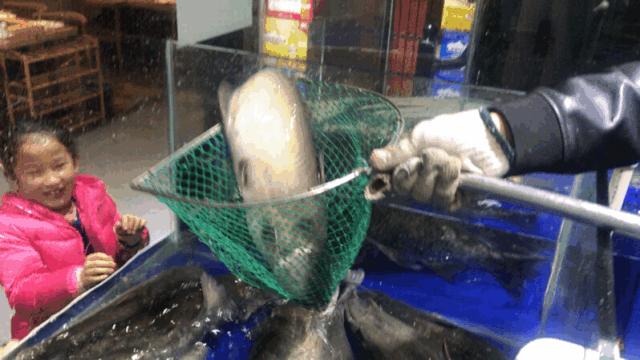 味寻千百度,阜阳这家渔锅好吃到爆!19.9抢购108元渔锅手慢无!