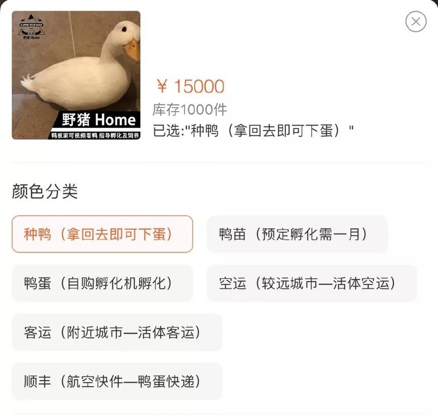 一只鸭子一万五元,一只鸭子一万多