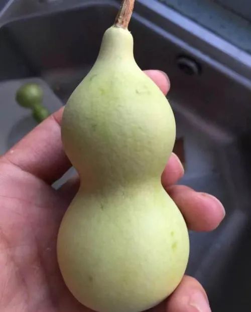 葫芦打皮的正确方法,葫芦打皮技巧视频