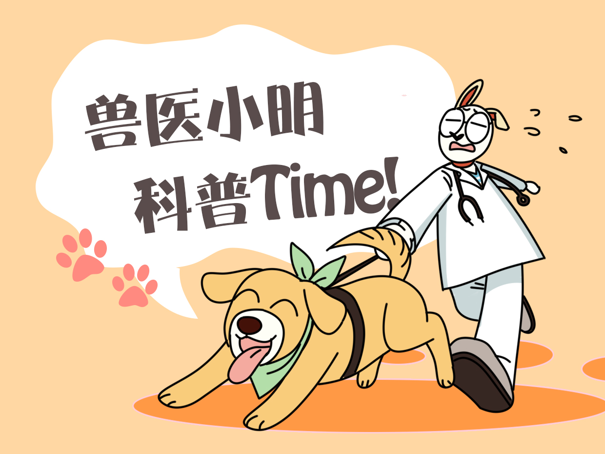 捡到一只野生刺猬,捡到了一只小刺猬后果会怎么样呢