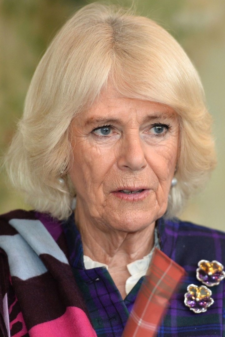 爱不爱看婚戒，戴妃的蓝宝戒指不算啥，卡米拉的婚戒才是无价之宝