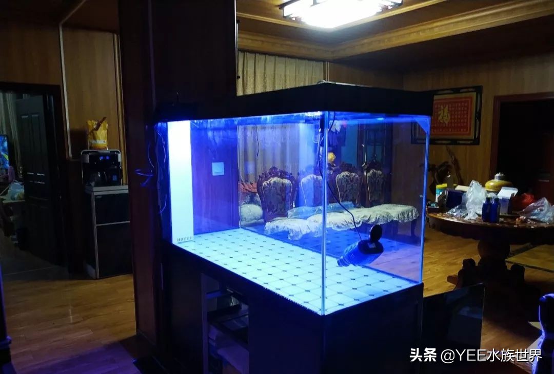 鱼缸专用胶哪种最好,鱼缸胶是什么类型的胶水