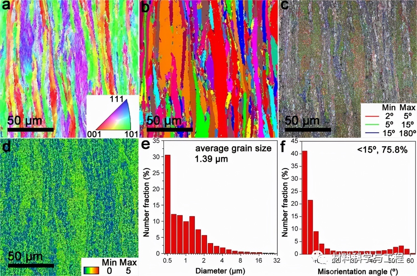 天大生物医学工程,天大生物力学