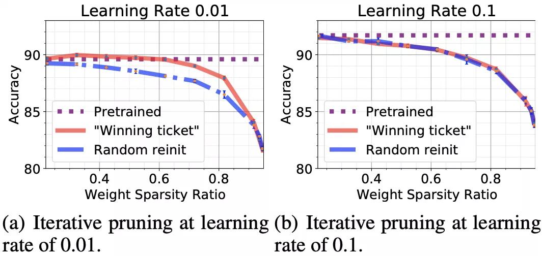 王言治团队：神经网络要「中奖」，秘密在于学习率！｜ICML2021