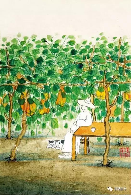 院子里种些什么花好养,院子里适合种植的东西