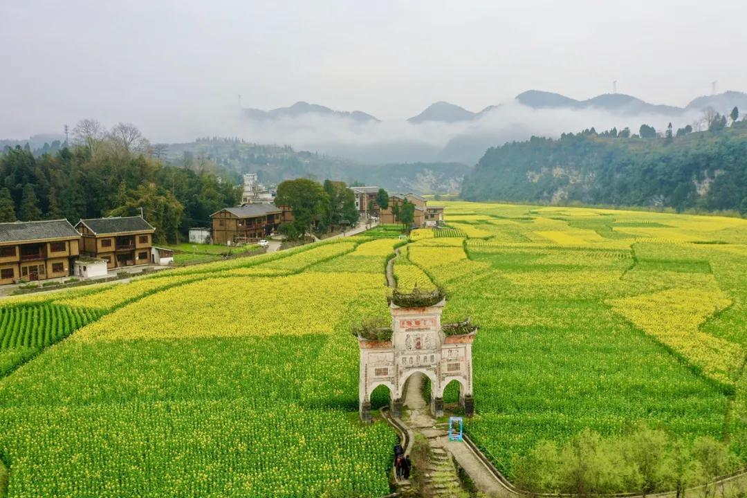 贵州的春天是最美的季节,贵州风景风情