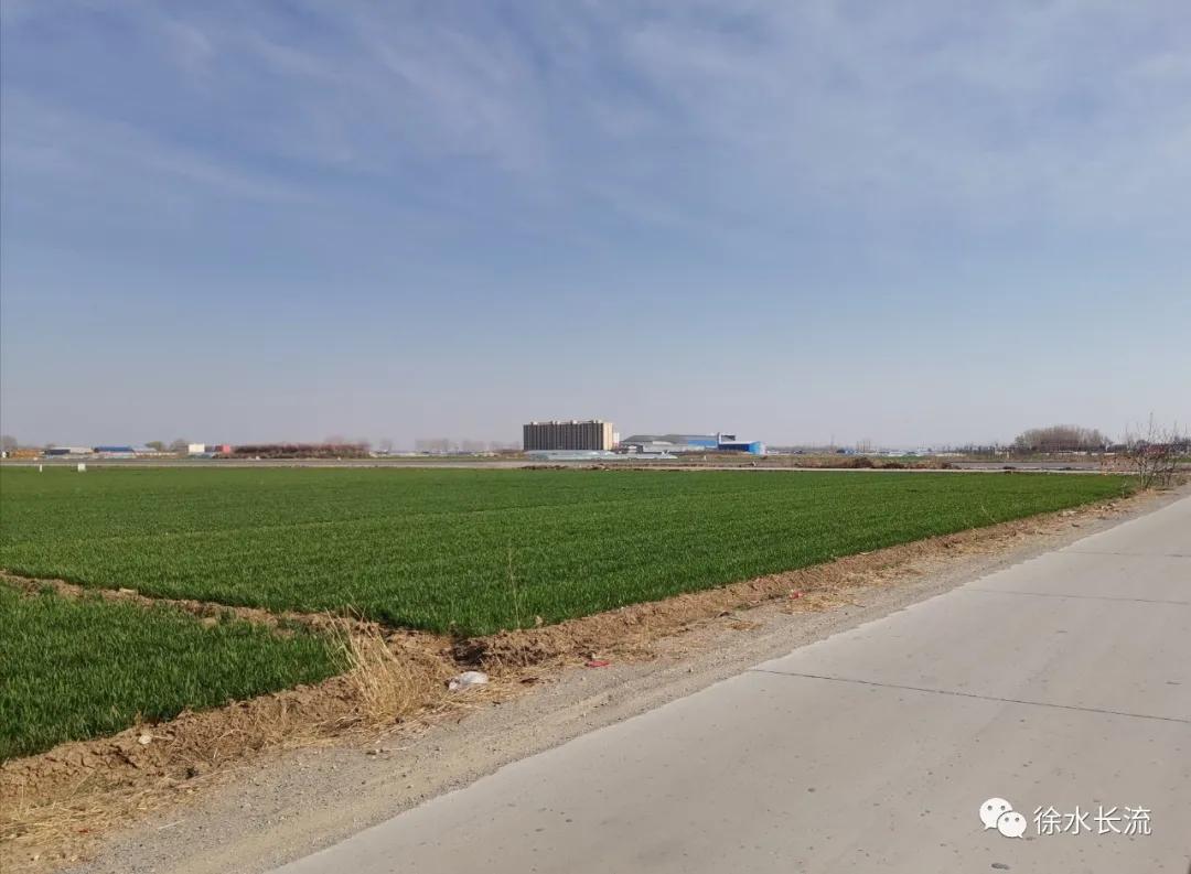 有着千年历史的徐水于坊村名来历一直是个谜