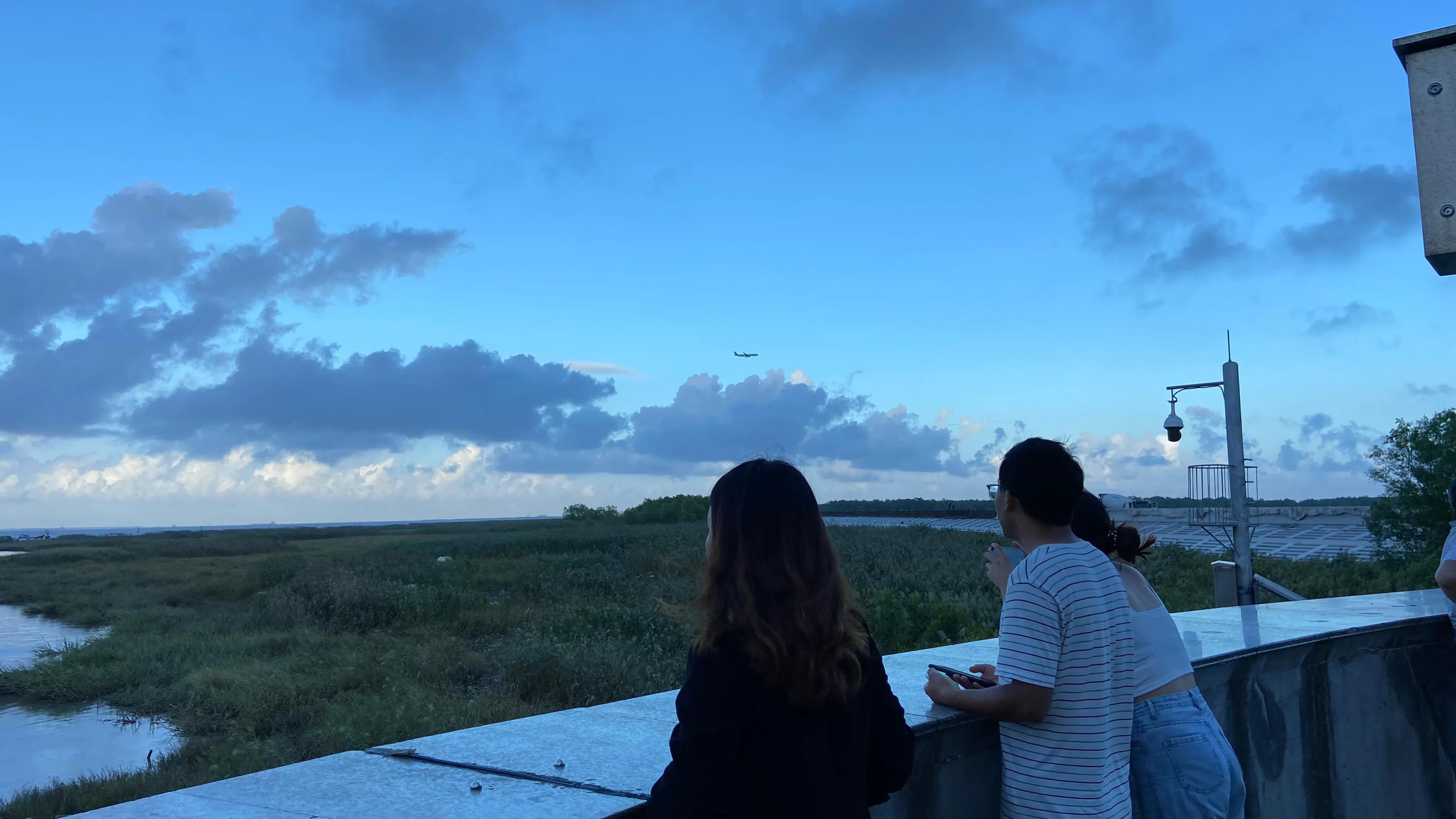 上海看美丽的大海,上海哪里有海滩看大海免费