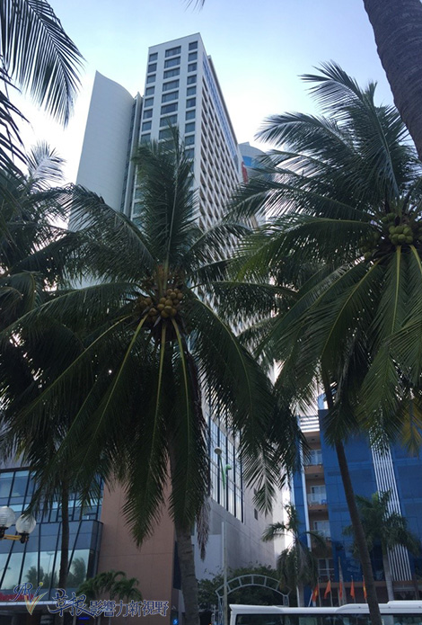 瓒婂崡鑺藉簞娴锋哗鏅尯瑙嗛,瓒婂崡鑺藉簞榛戝矝娴锋哗