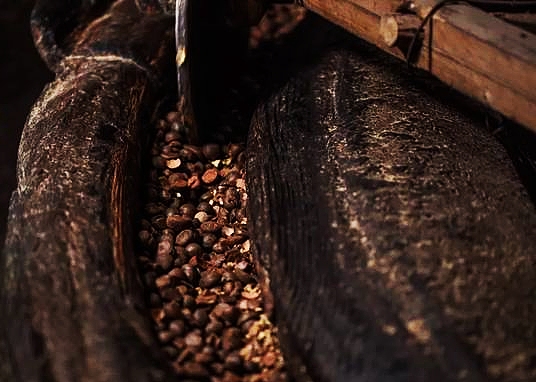 山茶籽农家自榨山茶油,山茶麸文化传承